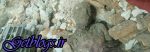دفن مومیایی ری بدون هماهنگی!