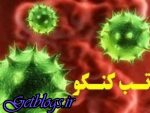 مرگ یک دامدار بر اثر مبتلا شدن به «تب کریمه کنگو» در خراسان شمالی